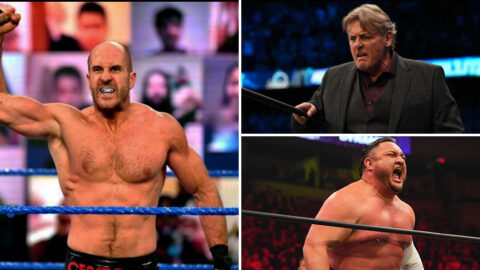 WWE Releases – Every Wrestler FIRED By WWE In 2022