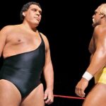 andre the giant last match