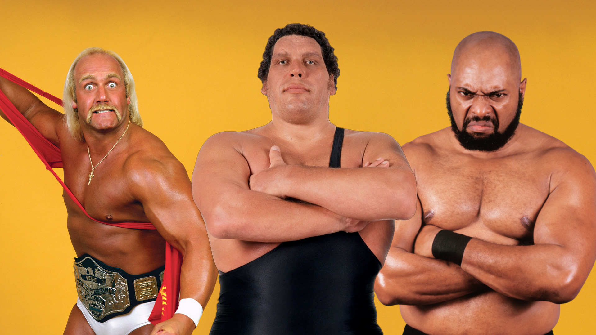 Hulk Hogan Andre The Giant and Bad News Brown